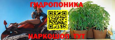 мет Гай