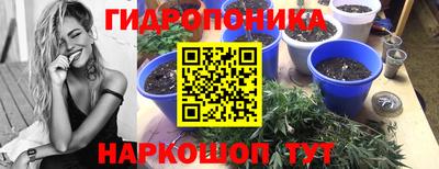 гидропоника Бузулук