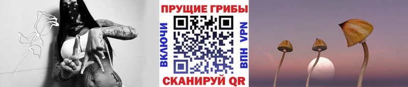 Галлюциногенные грибы MAGIC MUSHROOMS  Заводоуковск 