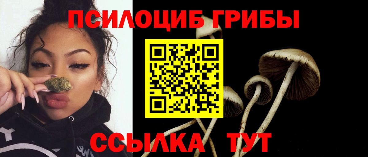 Галлюциногенные грибы Cubensis  Вход с VPN  Заводоуковск 