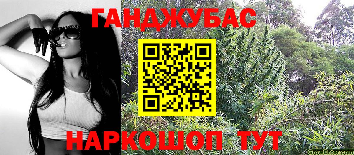 Конопля план  Вход с VPN  МАРИХУАНА SATIVA & INDICA  МАРИХУАНА марихуана  Заводоуковск 